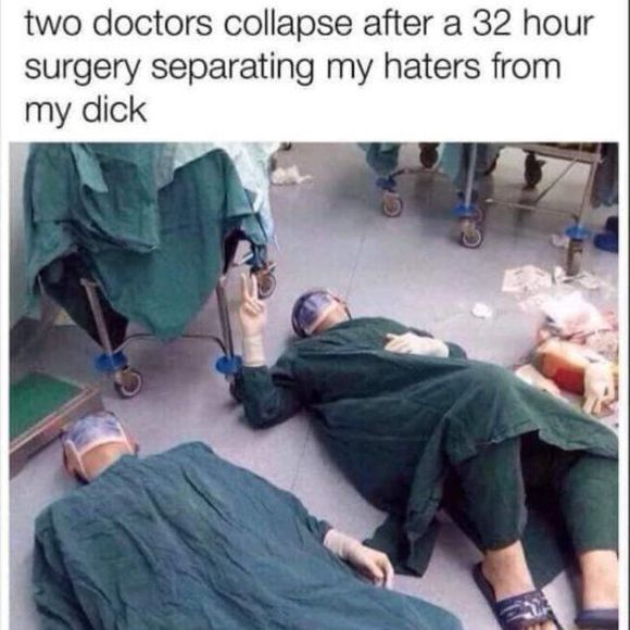 Meet your Posher, Addie - Picture 1 of 1